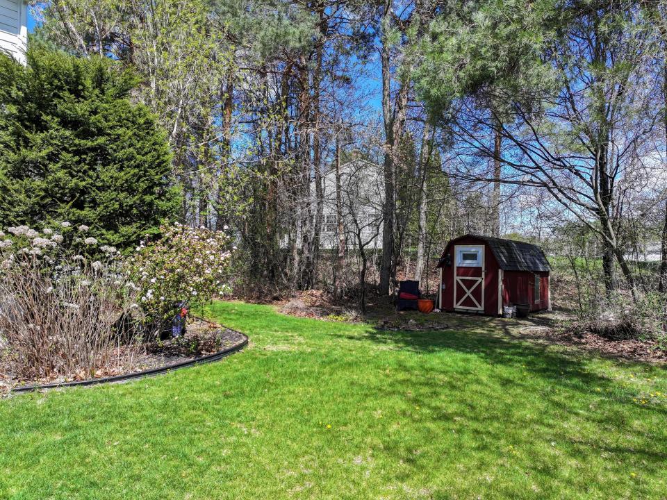 Shed