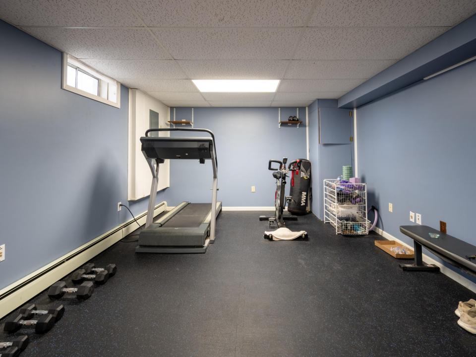 Basement Gym