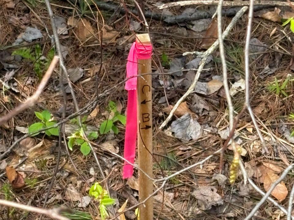 LotCInBurke_Marker_CB