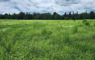 Baker Meadow