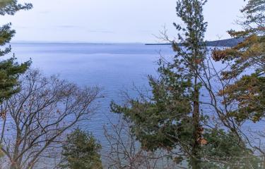 DJI_20231207131141_0044_D