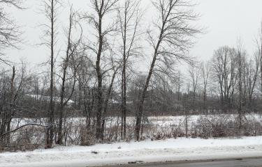 PXL_20240124_134441074