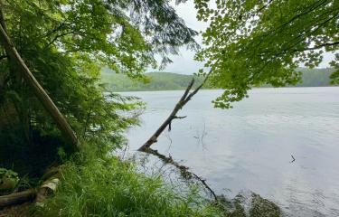 Beaver Way View 13