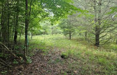 Black - ADK Mt - Childwold building area