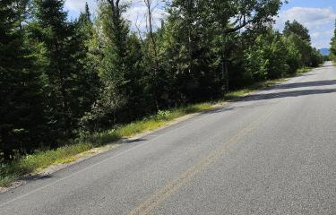 road frontage Lot 22 looking west