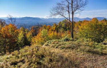Lot1516OnPanorama