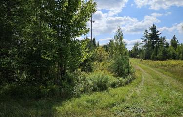 West side Lot 21 and new road to be buil