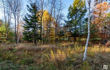 LandOnMtPisgahPark_Lot