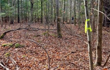 Start of trail to Augur