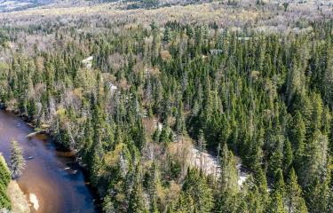 LotOnRiverRdInLakePlacid_Spring_A_Lot