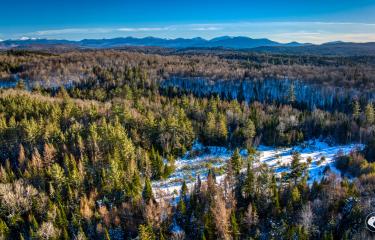 DJI_20250219162158_0338_D