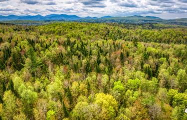 DJI_20250516122801_0001_D