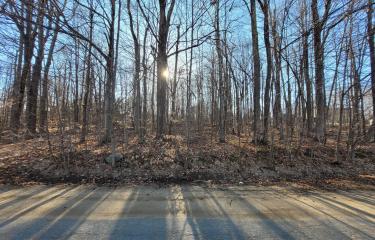 IMG_20250324_123550