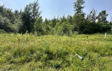 Lot #26