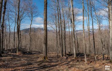 LandOnMooseHillRoad_Lot_Mountain_Views