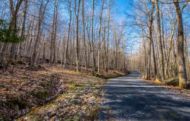 DSC_2771-HDR