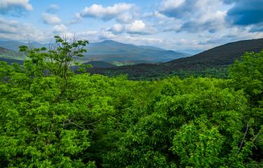 DJI_0808