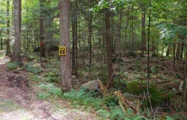 Lot # 6