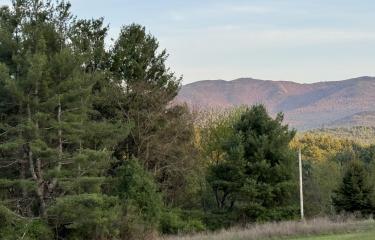 IMG_7039