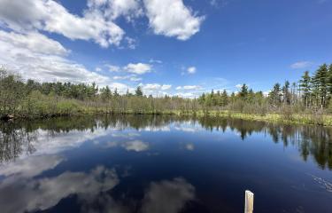 image_50411777