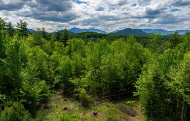 Lot 2 Jay drone views May 27 2025-08_200