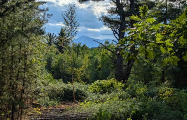 Lot 2 View of Whiteface 2