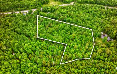 DJI_20250611102742_0258_D copy-2