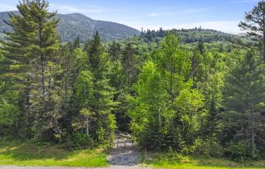 DJI_20250608144944_0011_D_