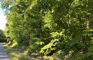 IMG_0684