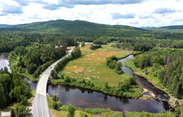 DJI_0185