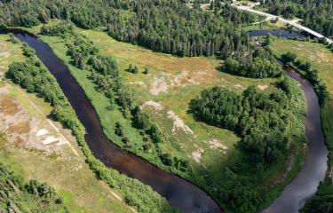 DJI_0233