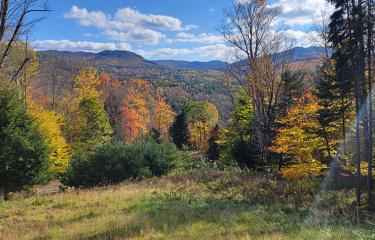 LandOnGreenMeadowsInKeene_O_View2_Fall