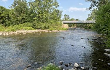 Riverview South
