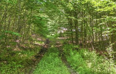 DJI_20250715134148_0044_D_