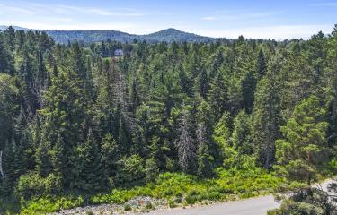 DJI_20250715125913_0013_D_