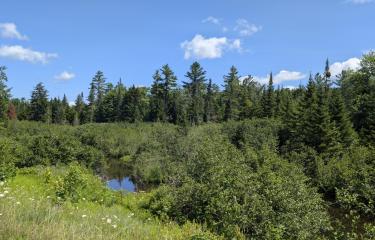 PXL_20250718_152334250