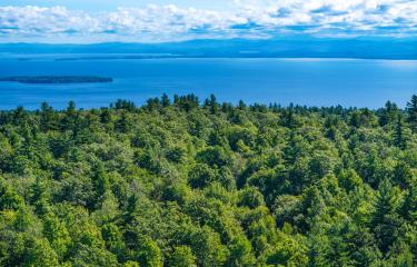 (1) DJI_20250718091655_0132_D_JCM