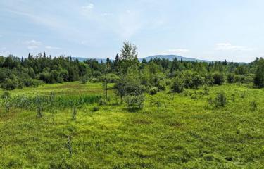 45.1 Acres Route 374