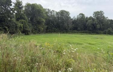 Butler rd
