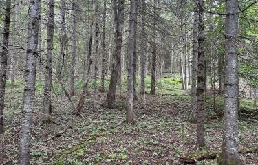 IMG-3540