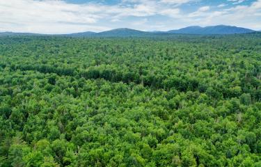 (1) Cover Shot_DJI_0458_CCred