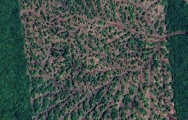 Sharrett Land 87 acres 2