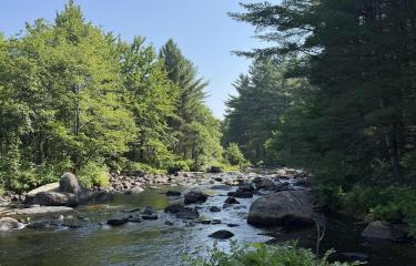 River View