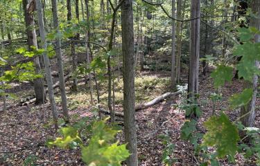 Photo Sep 21 2025, 3 49 56 PM