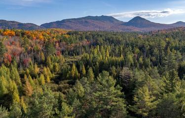 LotOnLuckyWay_A_RS_Lot_M