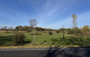 IMG-9656