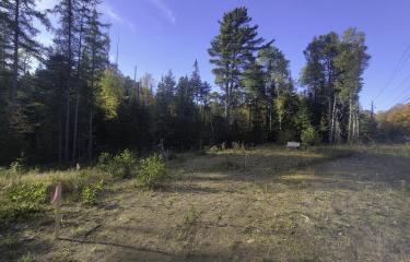 20250929_164738 (1)