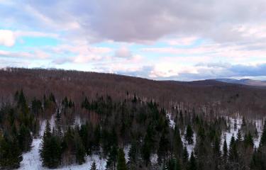 walk 2