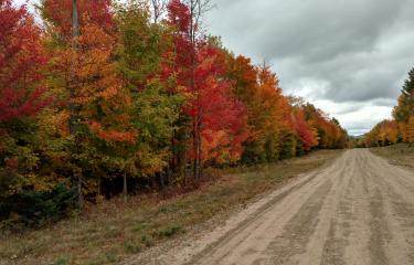 IMG_20161009_140257799_HDR