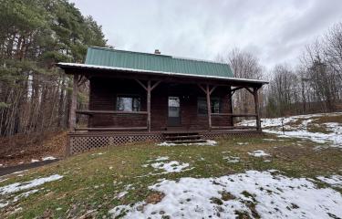 Roina 60 Front Photo